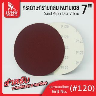 กระดาษทรายกลมหนามเตย 7